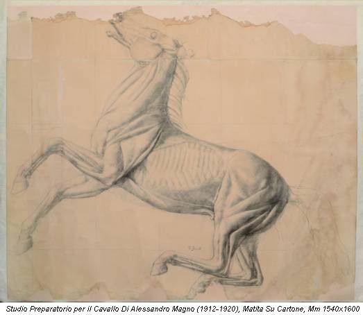 Studio Preparatorio per il Cavallo Di Alessandro Magno (1912-1920), Matita Su Cartone, Mm 1540x1600