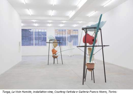 Tunga, La Voie Humide, installation view, Courtesy l'artista e Galleria Franco Noero, Torino.