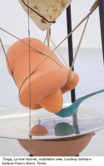 Tunga, La Voie Humide, installation view, Courtesy l'artista e Galleria Franco Noero, Torino.