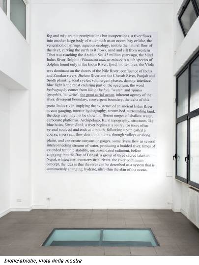 biotic/abiotic, vista della mostra