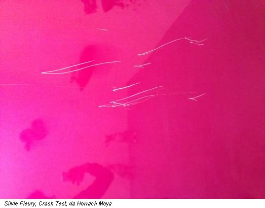 Silvie Fleury, Crash Test, da Horrach Moya