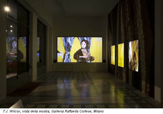 T.J. Wilcox, vista della mostra, Galleria Raffaella Cortese, Milano