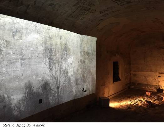 Stefano Cagol, Come alberi