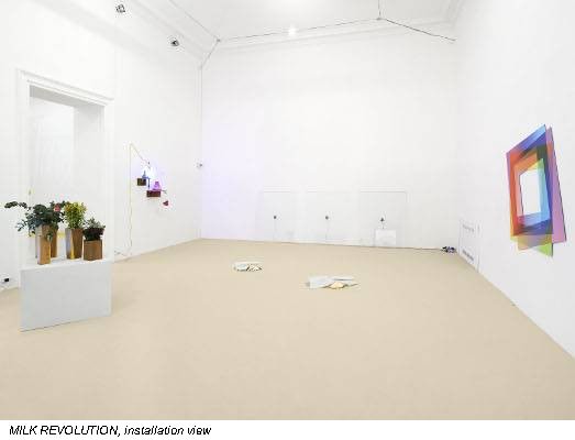 MILK REVOLUTION, installation view