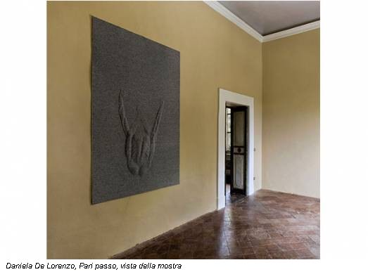  Daniela De Lorenzo, Pari passo, vista della mostra