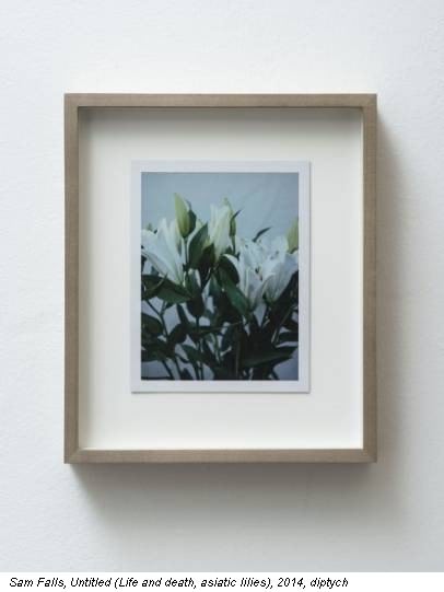 Sam Falls, Untitled (Life and death, asiatic lilies), 2014, diptych