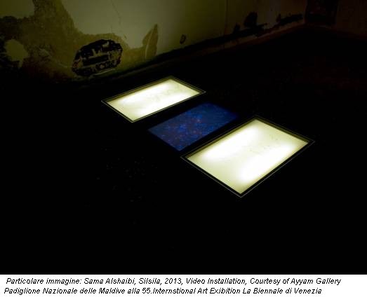 Particolare immagine: Sama Alshaibi, Silsila, 2013, Video Installation, Courtesy of Ayyam Gallery Padiglione Nazionale delle Maldive alla 55.Internstional Art Exibition La Biennale di Venezia