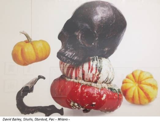 David Bailey, Skulls, Sturdust, Pac - Milano -