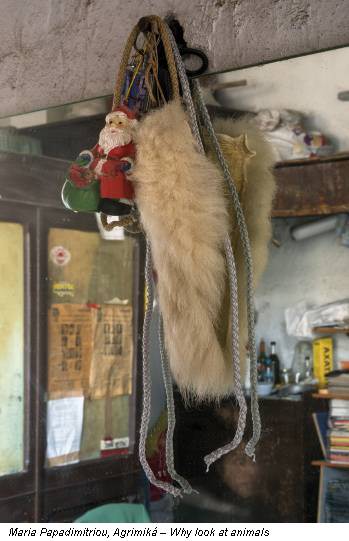 Maria Papadimitriou, Agrimiká – Why look at animals