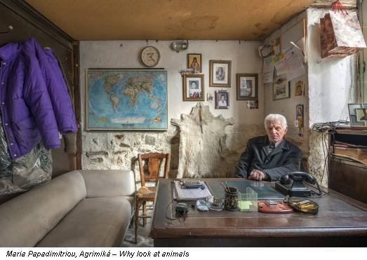 Maria Papadimitriou, Agrimiká – Why look at animals