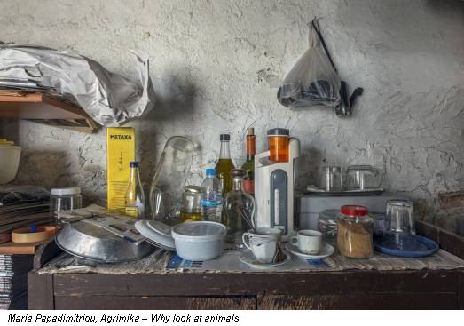 Maria Papadimitriou, Agrimiká – Why look at animals