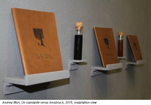 Andrea Mori, Un viandante verso Innsbruck, 2015, installation view