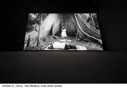 William E. Jones, Yael Bartana, vista della mostra
