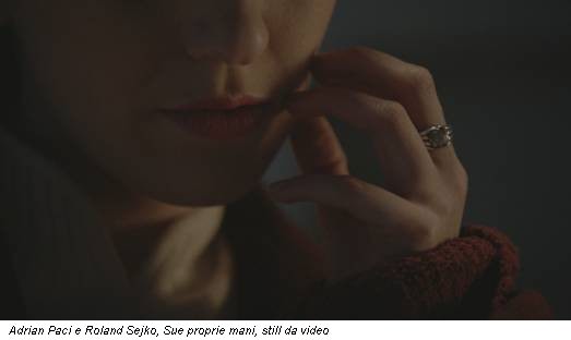 Adrian Paci e Roland Sejko, Sue proprie mani, still da video