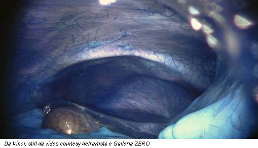 Da Vinci, still da video courtesy dell'artista e Galleria ZERO