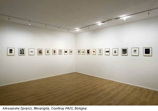 Alessandra Spranzi, Meraviglia, Courtesy P420, Bologna