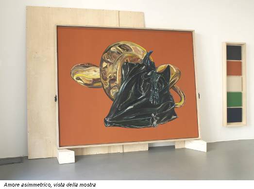 Amore asimmetrico, vista della mostra
