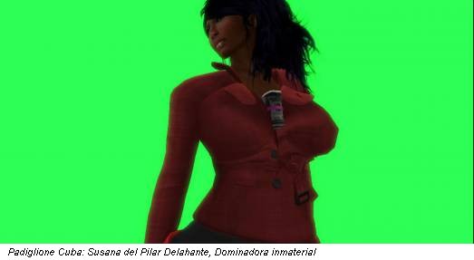 Padiglione Cuba: Susana del Pilar Delahante, Dominadora inmaterial