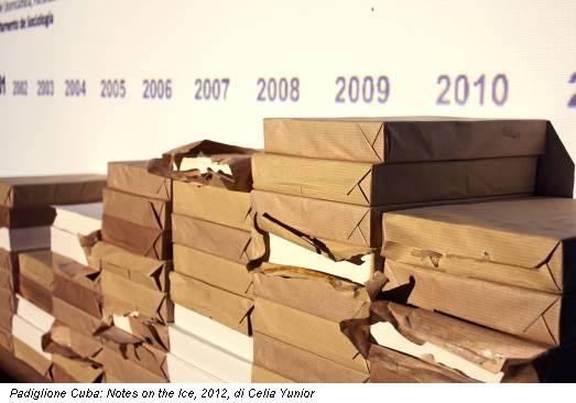 Padiglione Cuba: Notes on the Ice, 2012, di Celia Yunior