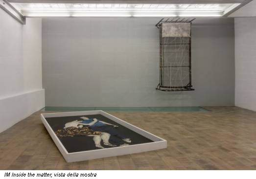 IM Inside the matter, vista della mostra