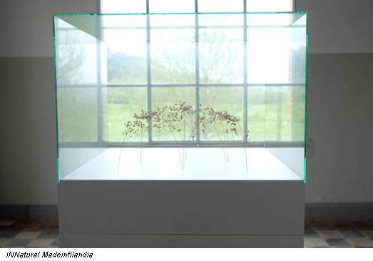 iNNatural Madeinfilandia