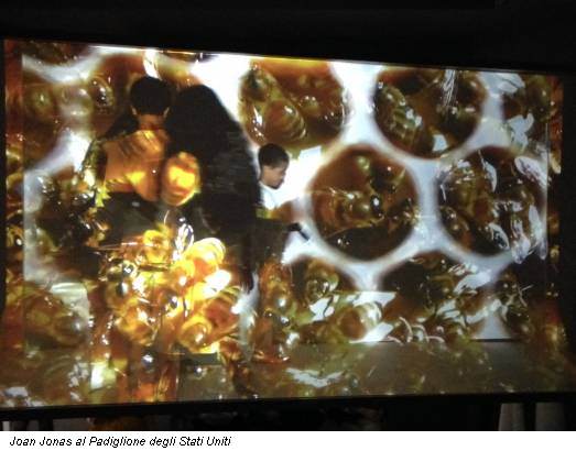 Joan Jonas al Padiglione degli Stati Uniti