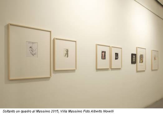 Soltanto un quadro al Massimo 2015, Villa Massimo Foto Alberto Novelli