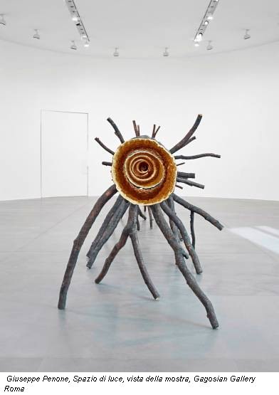 Giuseppe Penone, Spazio di luce, vista della mostra, Gagosian Gallery Roma