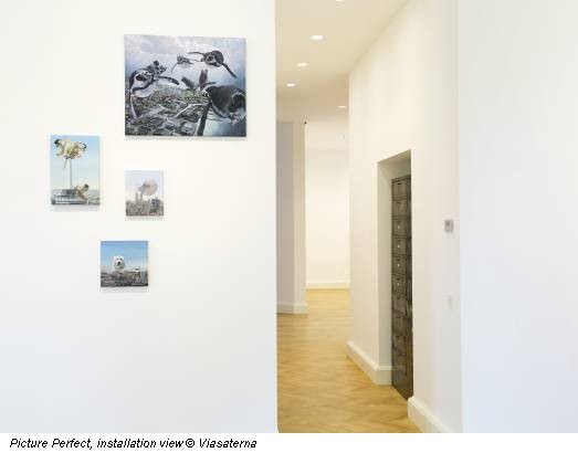 Picture Perfect, installation view © Viasaterna