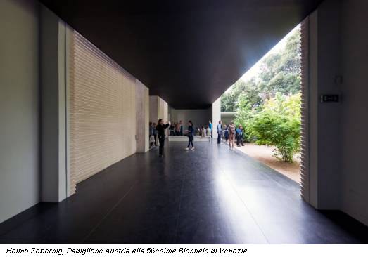 Heimo Zobernig, Padiglione Austria alla 56esima Biennale di Venezia
