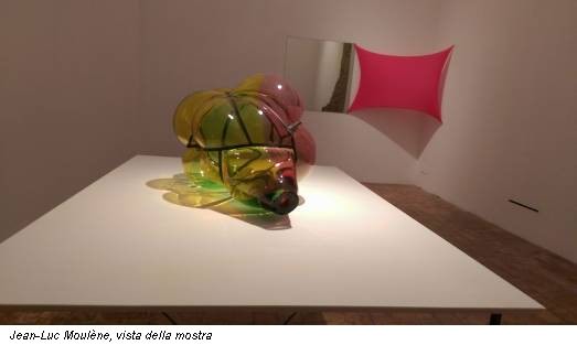 Jean-Luc Moulène, vista della mostra