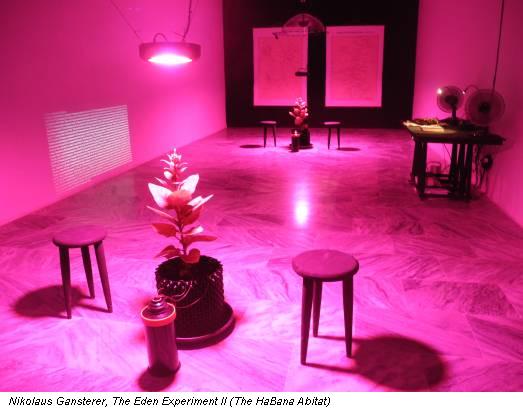 Nikolaus Gansterer, The Eden Experiment II (The HaBana Abitat)