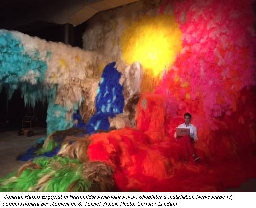 Jonatan Habib Engqvist in Hrafnhildur Arnadottir A.K.A. Shoplifter´s installation Nervescape IV, commissionata per Momentum 8, Tunnel Vision. Photo: Christer Lundahl