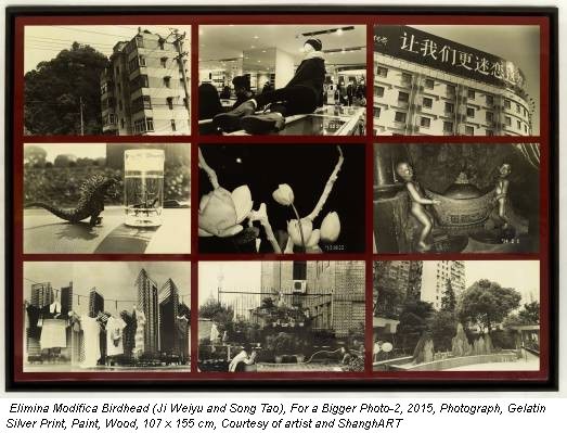 Elimina Modifica Birdhead (Ji Weiyu and Song Tao), For a Bigger Photo-2, 2015, Photograph, Gelatin Silver Print, Paint, Wood, 107 x 155 cm, Courtesy of artist and ShanghART