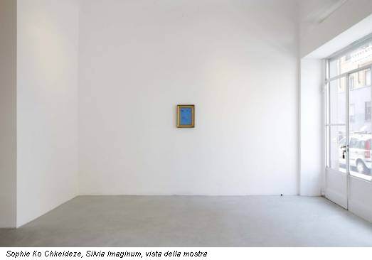 Sophie Ko Chkeideze, Silvia Imaginum, vista della mostra