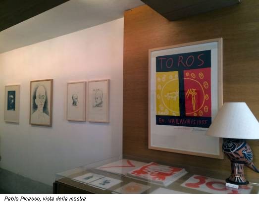 Pablo Picasso, vista della mostra