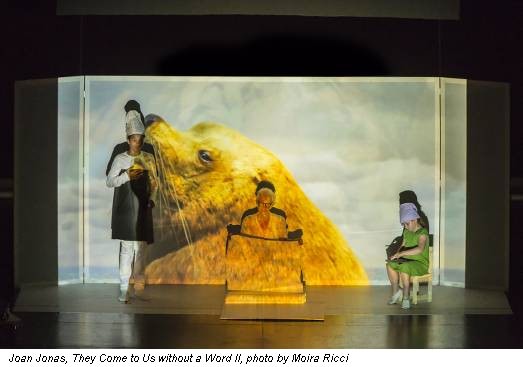 Joan Jonas, They Come to Us without a Word II, photo by Moira Ricci