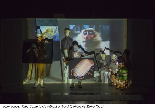 Joan Jonas, They Come to Us without a Word II, photo by Moira Ricci