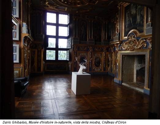 Dario Ghibaduo, Musée d'histoire in-naturelle, vista della mostra, Château d'Oiron