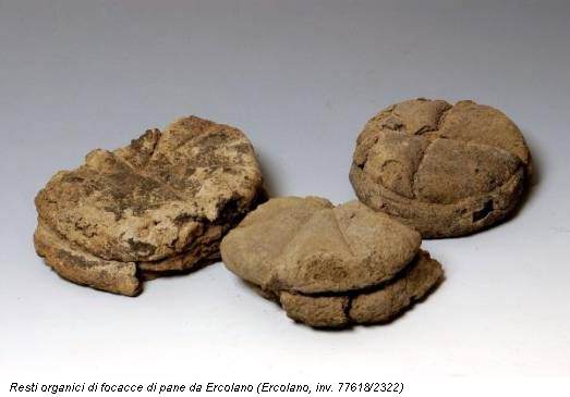 Resti organici di focacce di pane da Ercolano (Ercolano, inv. 77618/2322)
