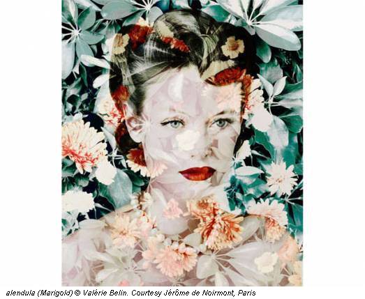alendula (Marigold) © Valérie Belin. Courtesy Jérôme de Noirmont, Paris