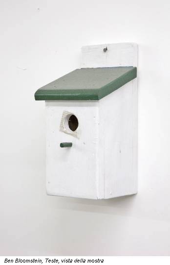 Ben Bloomstein, Teste, vista della mostra