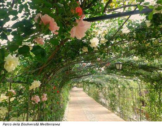 Parco della Biodiversità Mediterranea