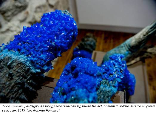 Luca Trevisani, dettaglio, As though repetition can legitimize the act, cristalli di solfato di rame su piante essiccate, 2015, foto Roberto Pancucci