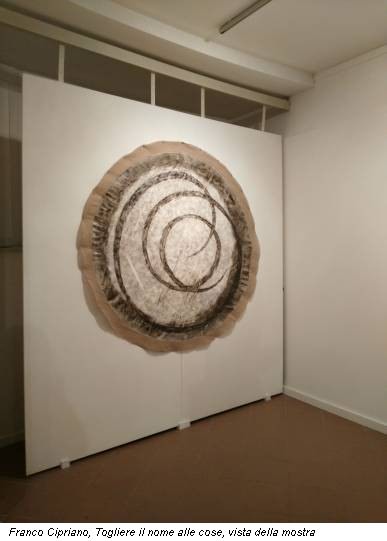 Franco Cipriano, Togliere il nome alle cose, vista della mostra