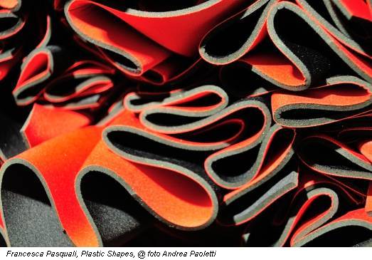 Francesca Pasquali, Plastic Shapes, @ foto Andrea Paoletti