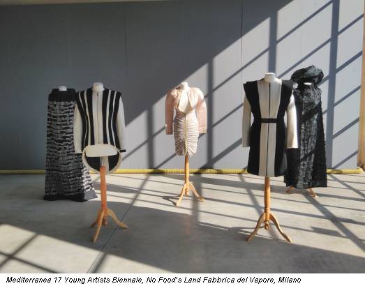 Mediterranea 17 Young Artists Biennale, No Food’s Land Fabbrica del Vapore, Milano