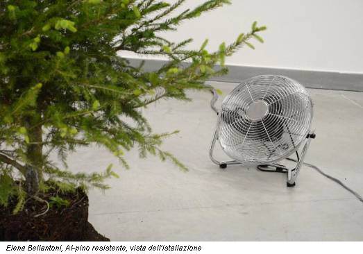 Elena Bellantoni, Al-pino resistente, vista dell'istallazione
