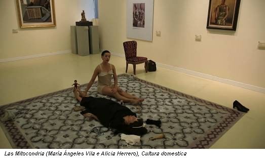 Las Mitocondria (María Ángeles Vila e Alicia Herrero), Cultura domestica