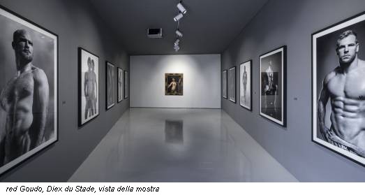 red Goudo, Diex du Stade, vista della mostra